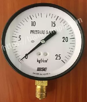 Đồng hồ đo áp suất wise