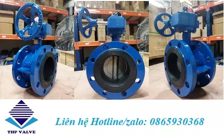 Van bướm hai mặt bích WN