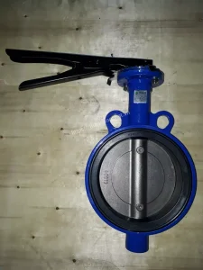 van_bm_hn_quc_tay_gt__dn65_3