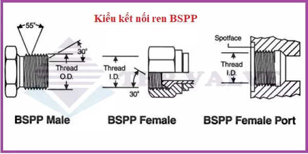 Kiểu kết nối ren BSPP