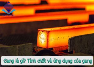 gang là gì dongholuuluong