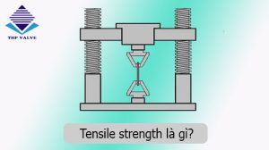 tensile strength là gì dongholuuluong