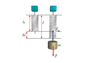 Hướng của lực đàn hồi ở mỗi đầu lò xo