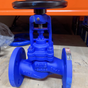 Van cầu Ravis GS-C25