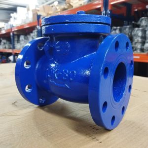 Van một chiều cửa lật