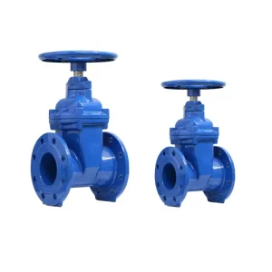 Hình ảnh van cổng AUT