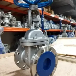 Hình ảnh van cổng chịu áp suất cao