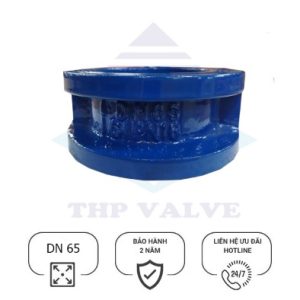 Van 1 chiều cánh bướm gang cánh inox DN65