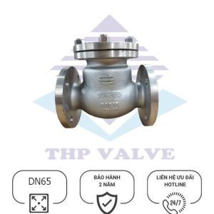 Van một chiều inox DN65