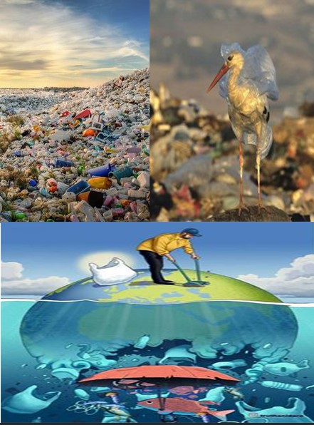 Ô nhiễm nhựa ảnh hưởng cuộc sống