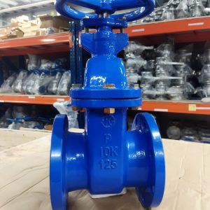 van cổng gang Wonil DN125