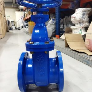 Van cổng gang Wonil DN150