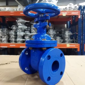 van cổng gang Wonil DN50