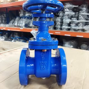 Van cổng gang Wonil DN65