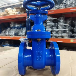 Van cổng gang Wonil DN80