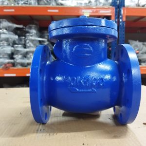 Van 1 chiều lá lật gang Wonil DN100