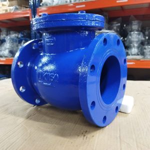 Van 1 chiều lá lật gang Wonil DN150