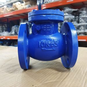 Van 1 chiều lá lật gang Wonil DN65