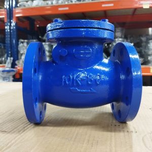 Van 1 chiều lá lật gang Wonil DN80