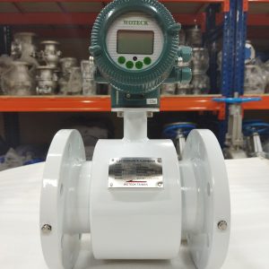 Đồng hồ nước điện từ Woteck DN100